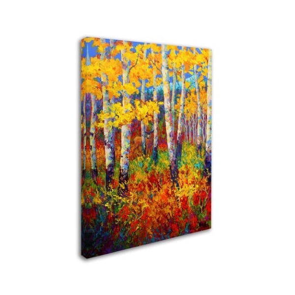 Marion Rose 'Marion 1' Canvas Art,14x19